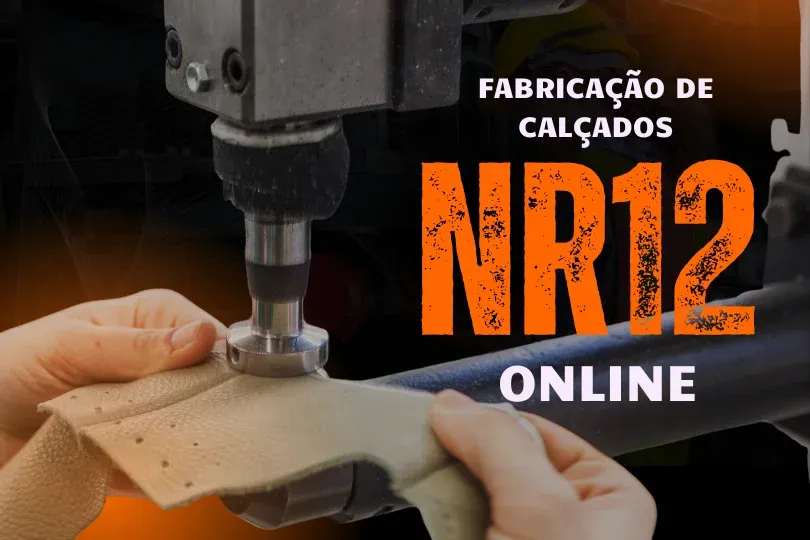 CURSO NR 12 FABRICAÇÃO DE CALÇADOS E AFINS