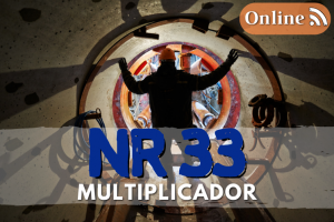 curso nr 33 online multiplicador
