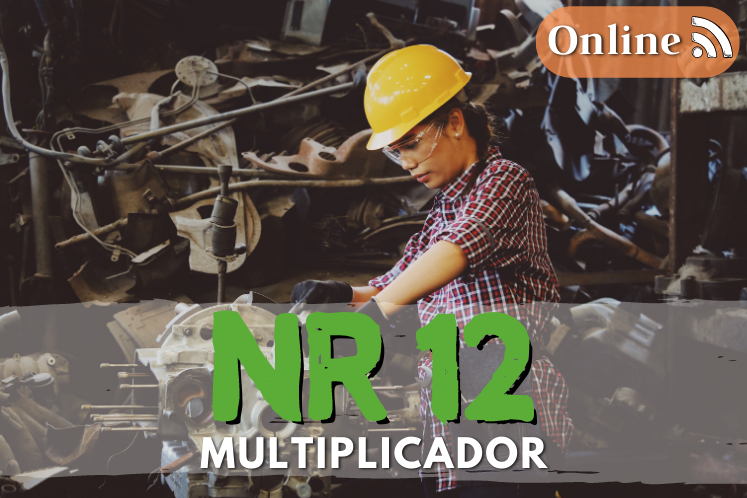 curso nr12 online multiplicador