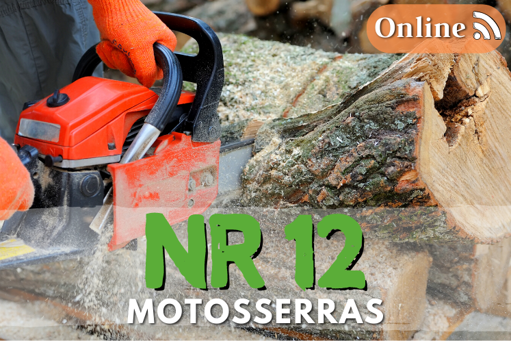 Curso NR 12 online – Segurança Motosserra