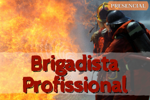 Curso Brigadista Profissional – 179h