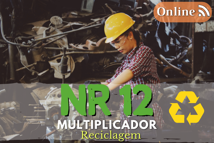 Curso nr 12 online – reciclagem multiplicador
