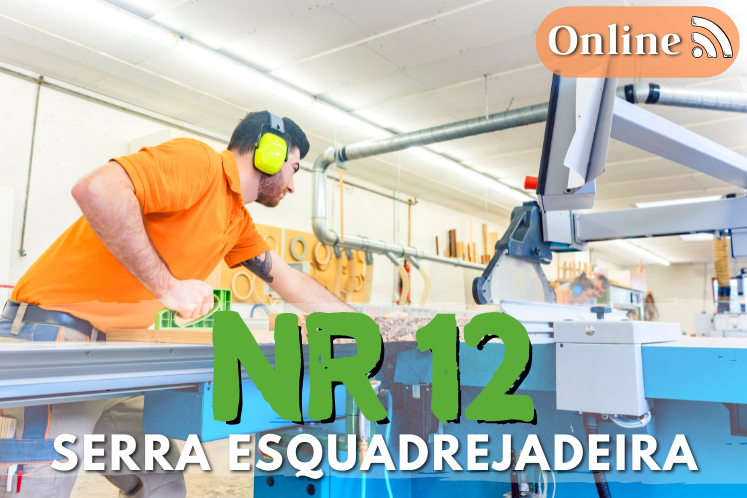 curso nr12 online