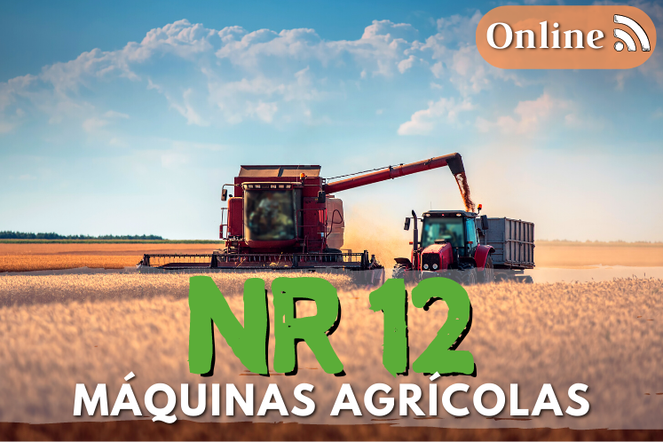 curso nr12 online