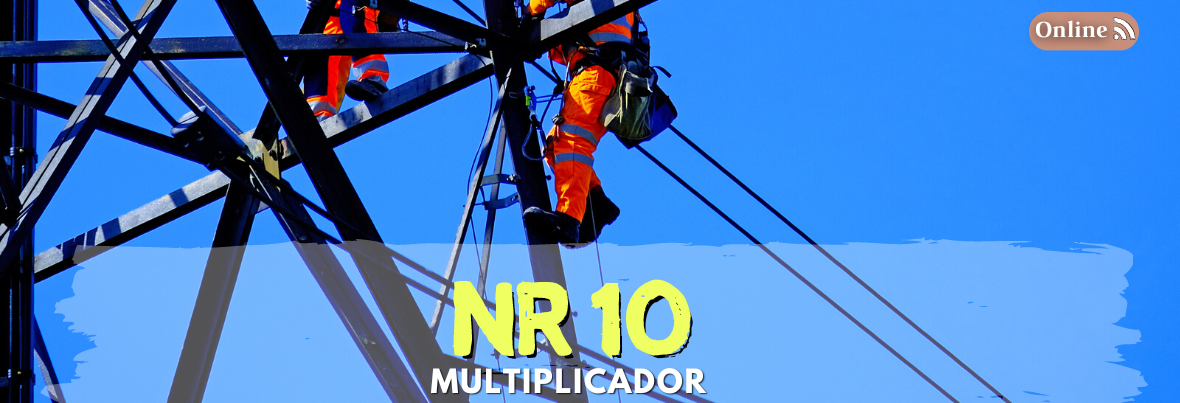 curso nr 10 online multiplicador