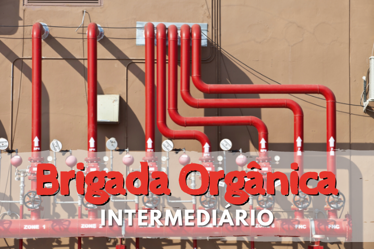 Curso de brigada bh intermediário